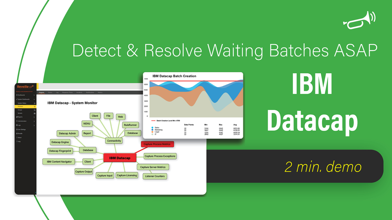 Ibm datacap agentless monitoring reveille software