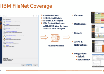 Product Summary: IBM FileNet