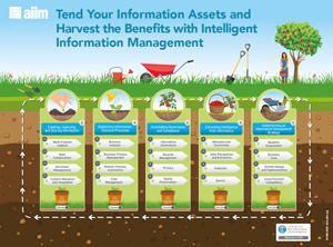 IIM-Journey-Map-Thumbnail Intelligent Information Management Journey Map